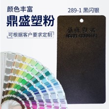 289-1黑闪银