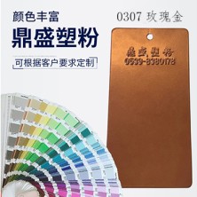 0307玫瑰金