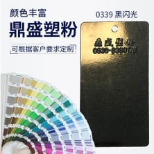 0339黑闪光