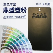 1011无光黑