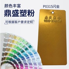P0315闪金