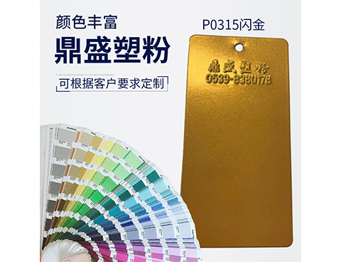 P0315闪金