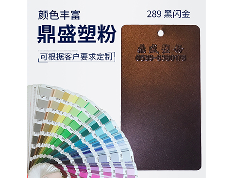 289黑闪金